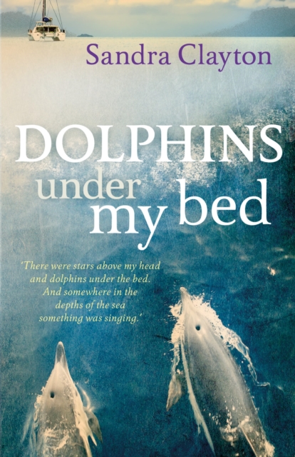 Dolphins under My Bed