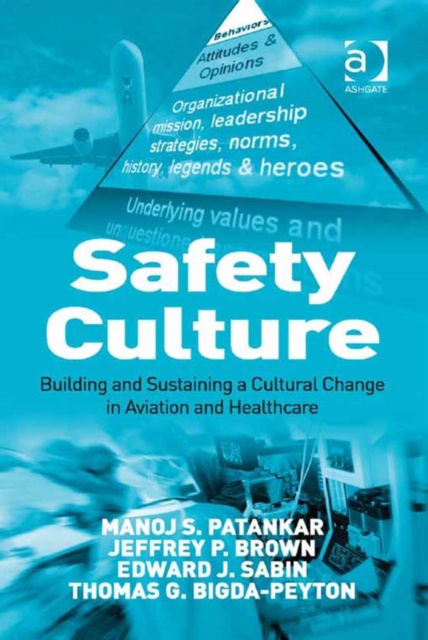 Safety culture : building and sustaining a cultural change in aviation and healthcare