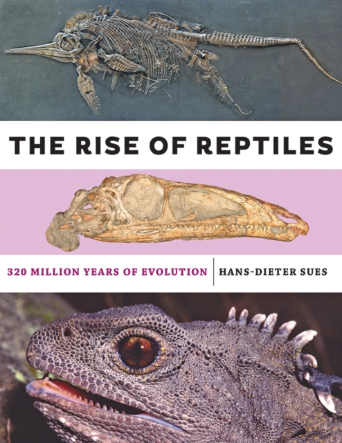 The rise of reptiles