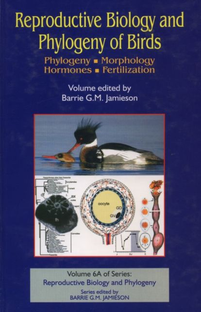 Reproductive biology and phylogeny of birds