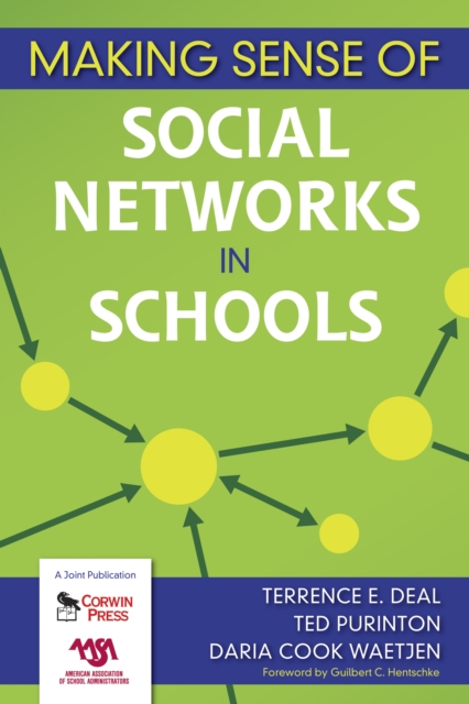 Making sense of social networks in schools