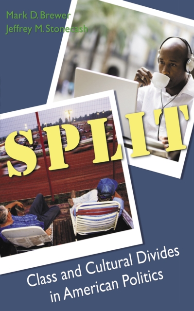 Split : class and cultural divides in American politics