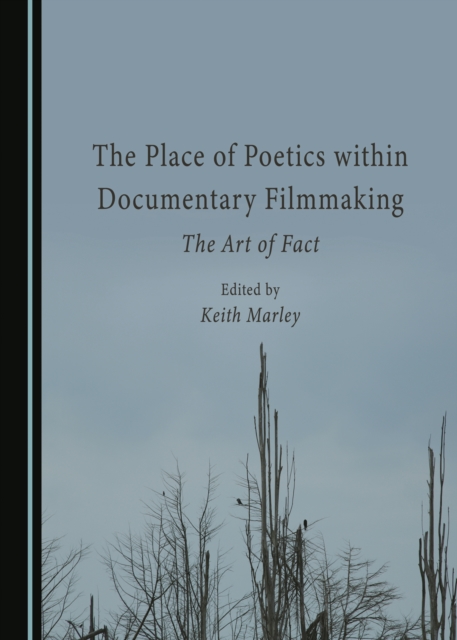 The Place of Poetics Within Documentary Filmmaking