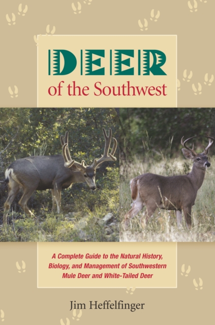 Deer of the Southwest