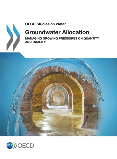 Groundwater allocation : managing growing pressures on quantity and quality
