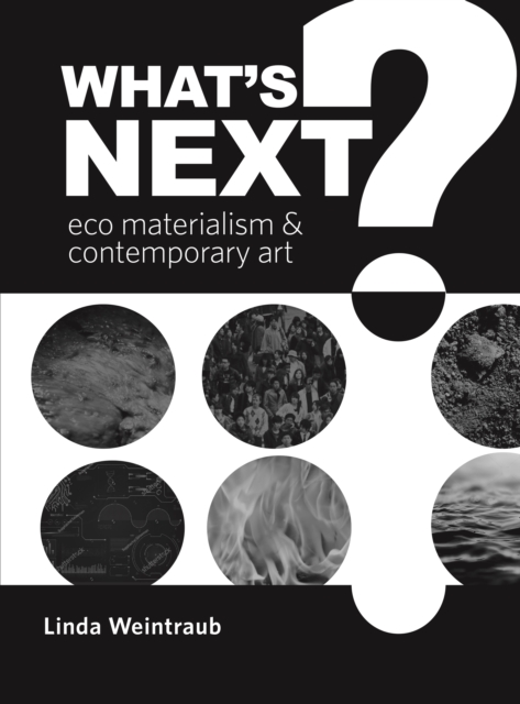 What's next? : eco materialism and contemporary art