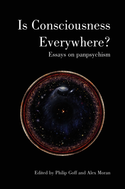 Is Consciousness Everywhere?