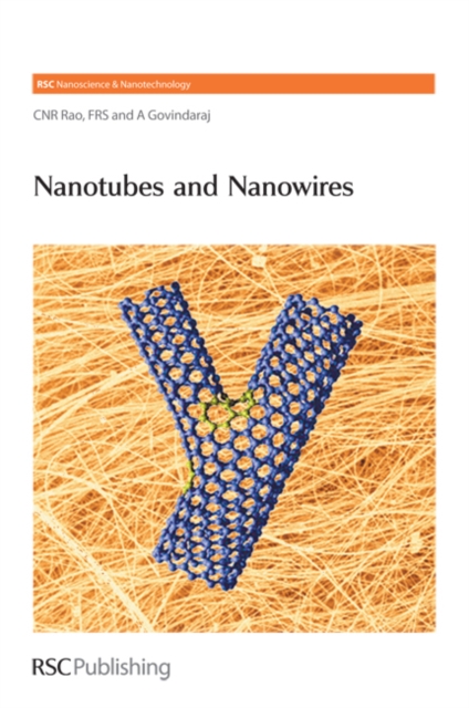 Nanotubes and nanowires