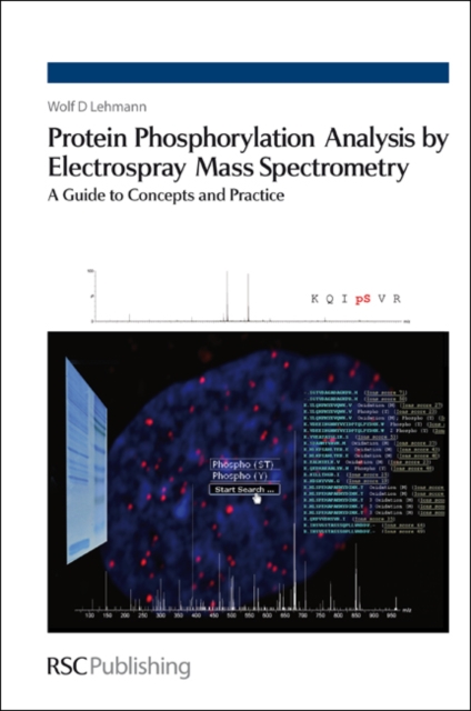 Protein phosphorylation analysis by electrospray mass spectrometry