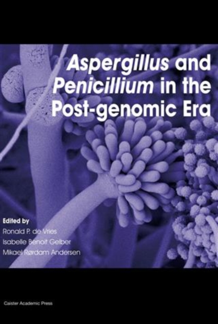 Aspergillus and Penicillium in the Post-Genomic Era