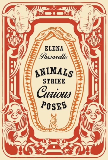 Animals Strike Curious Poses: Essays