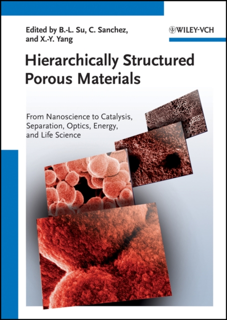 Hierarchically structured porous materials : from nanoscience to catalysis, separation, optics, energy, and life science