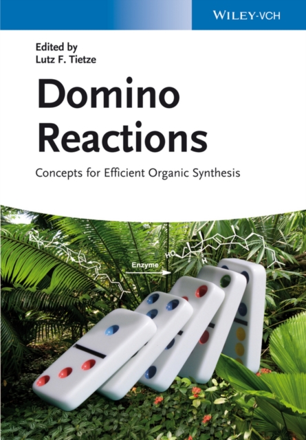 Domino reactions : concepts for efficient organic synthesis