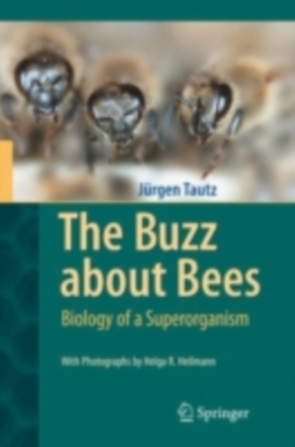 The buzz about bees : biology of a superorganism