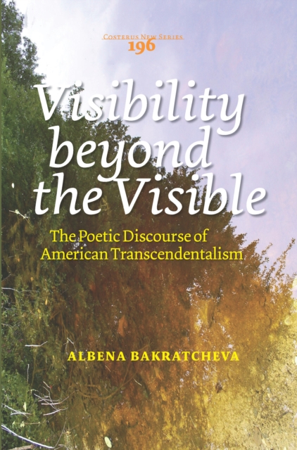 Visibility Beyond the Visible