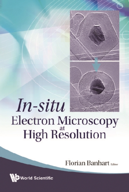 In-situ electron microscopy at high resolution