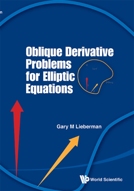 Oblique derivative problems for elliptic equations