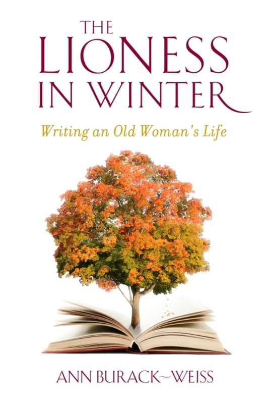 The lioness in winter