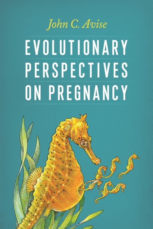 Evolutionary perspectives on pregnancy