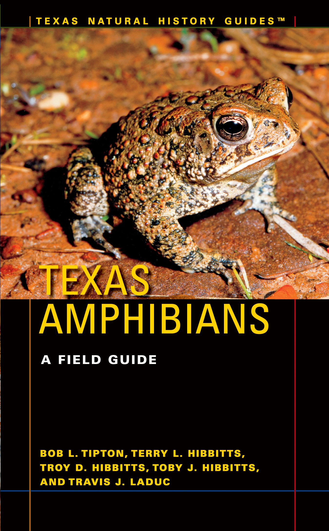 Texas Amphibians