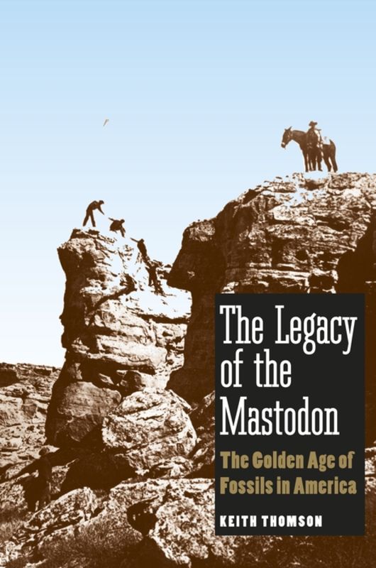 The Legacy of the Mastodon