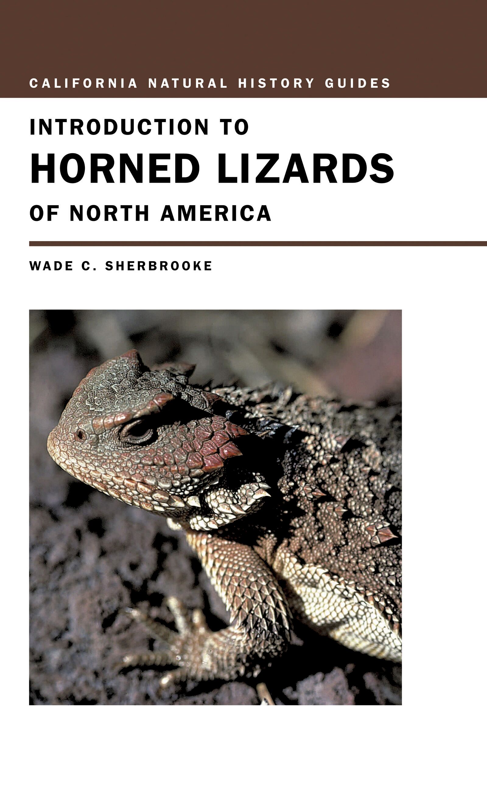 Introduction to horned lizards of North America