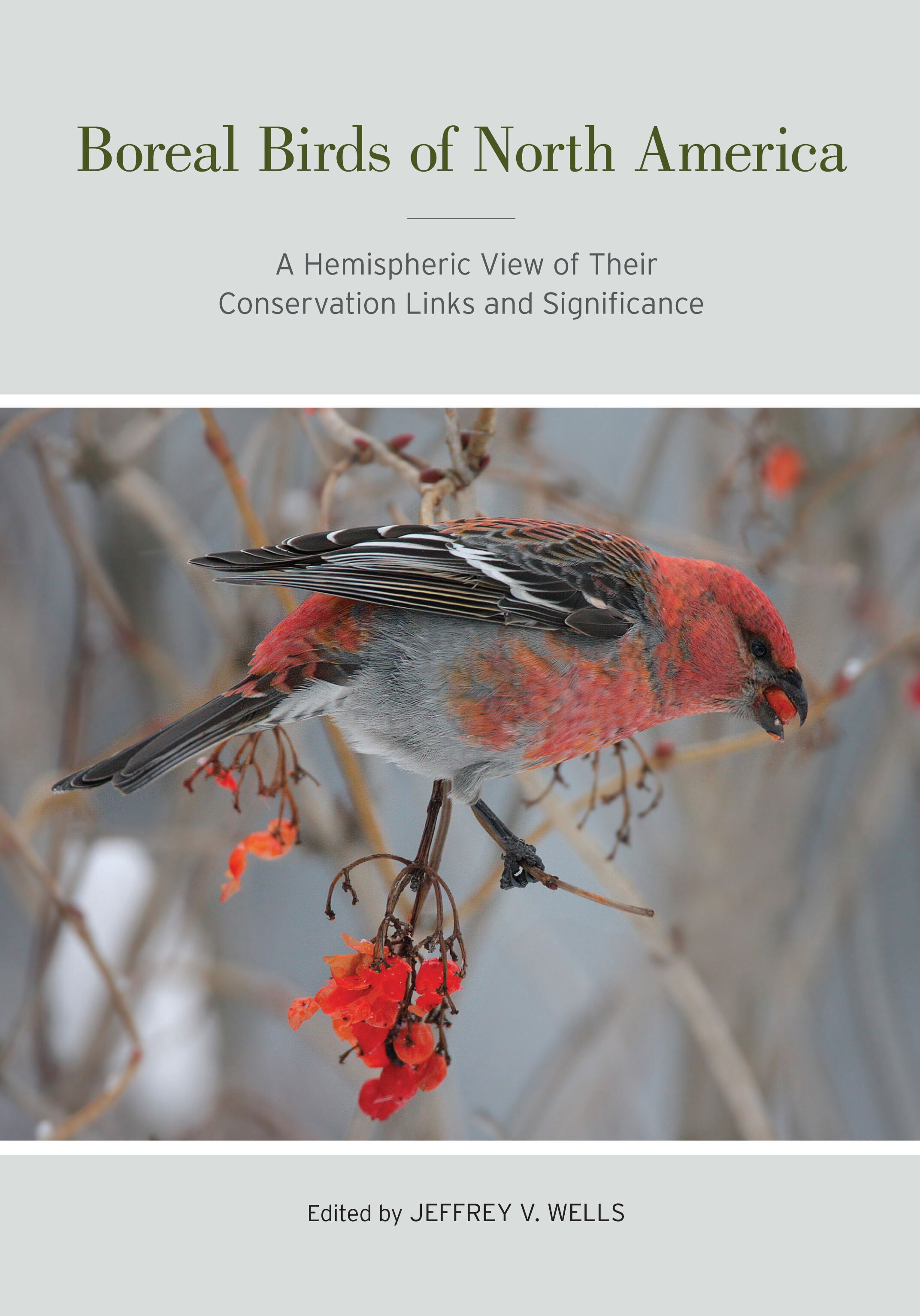 Boreal birds of North America