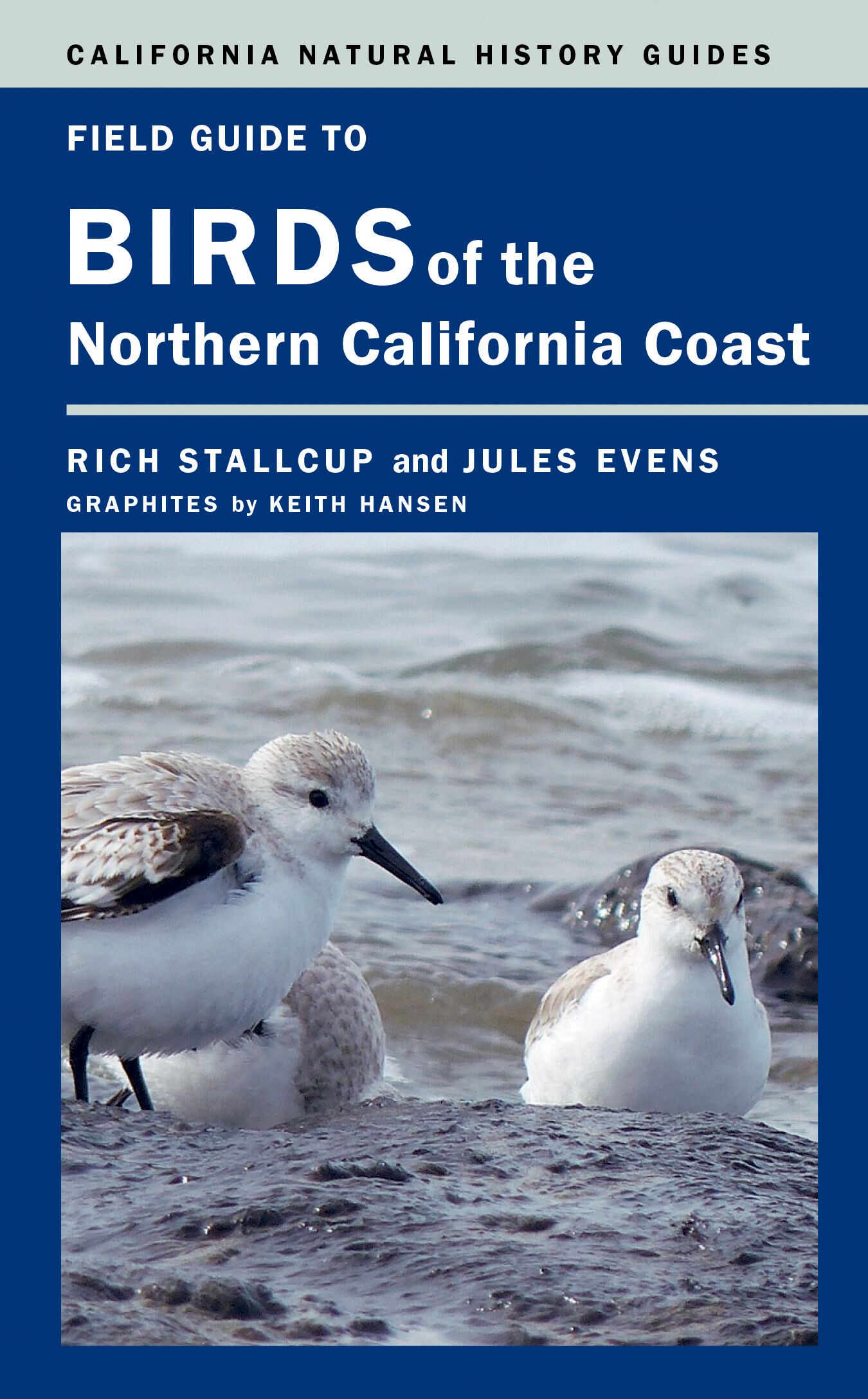 Field guide to birds of the northern California coast