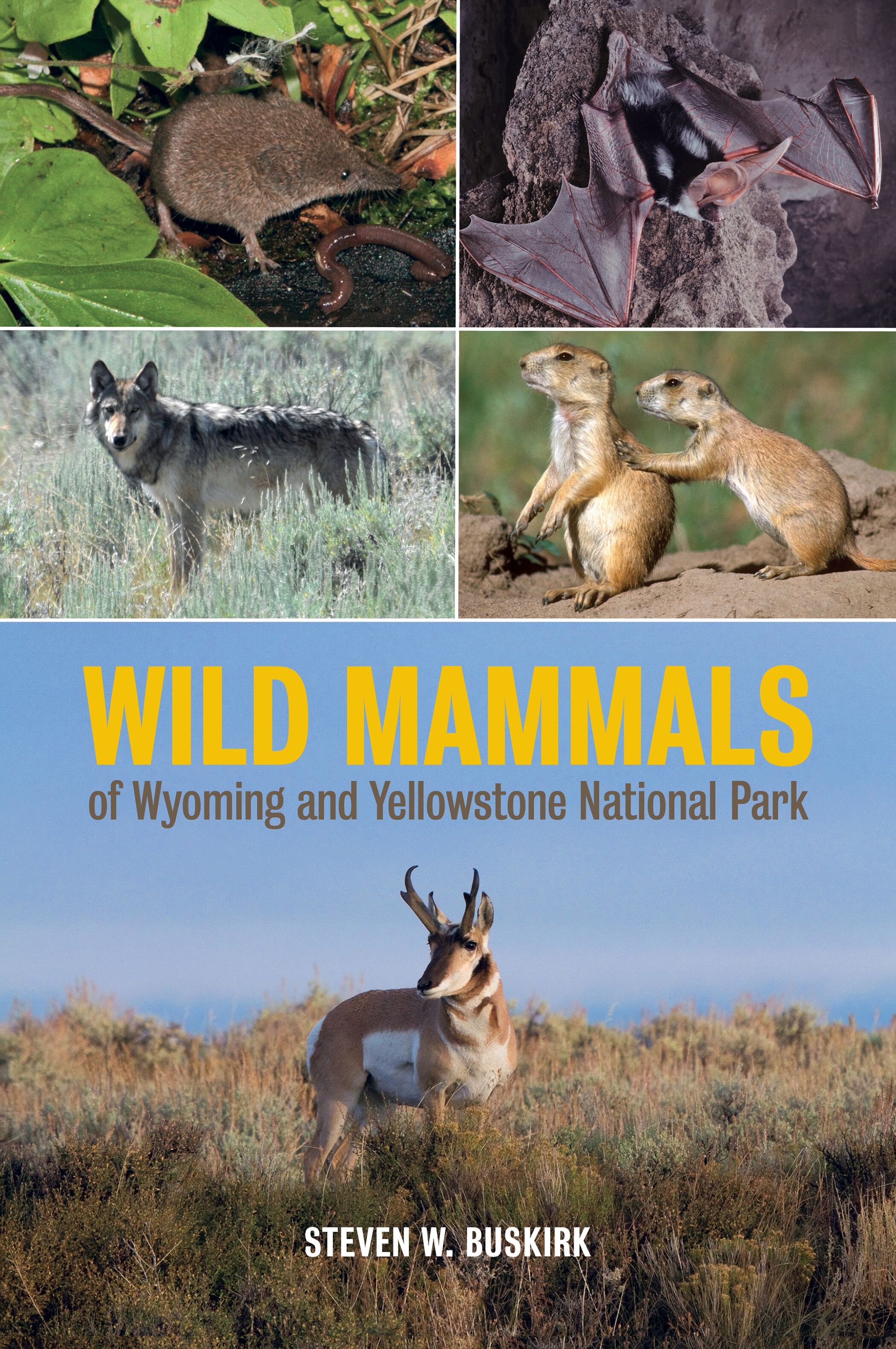 Wild mammals of Wyoming and Yellowstone National Park