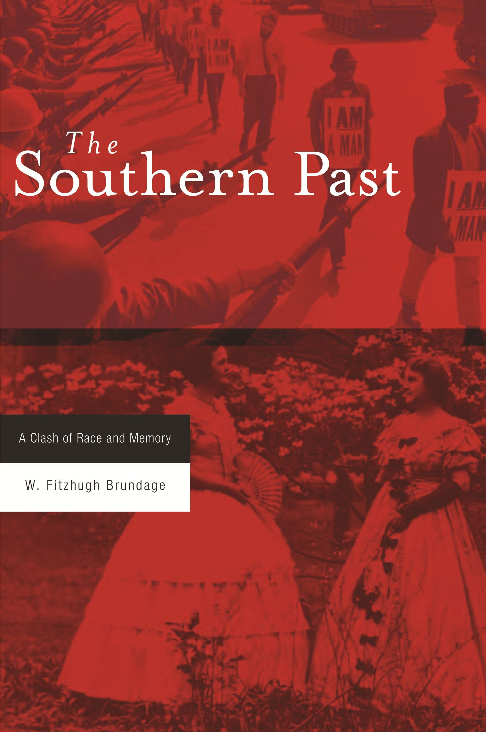 The Southern past : a clash of race and memory