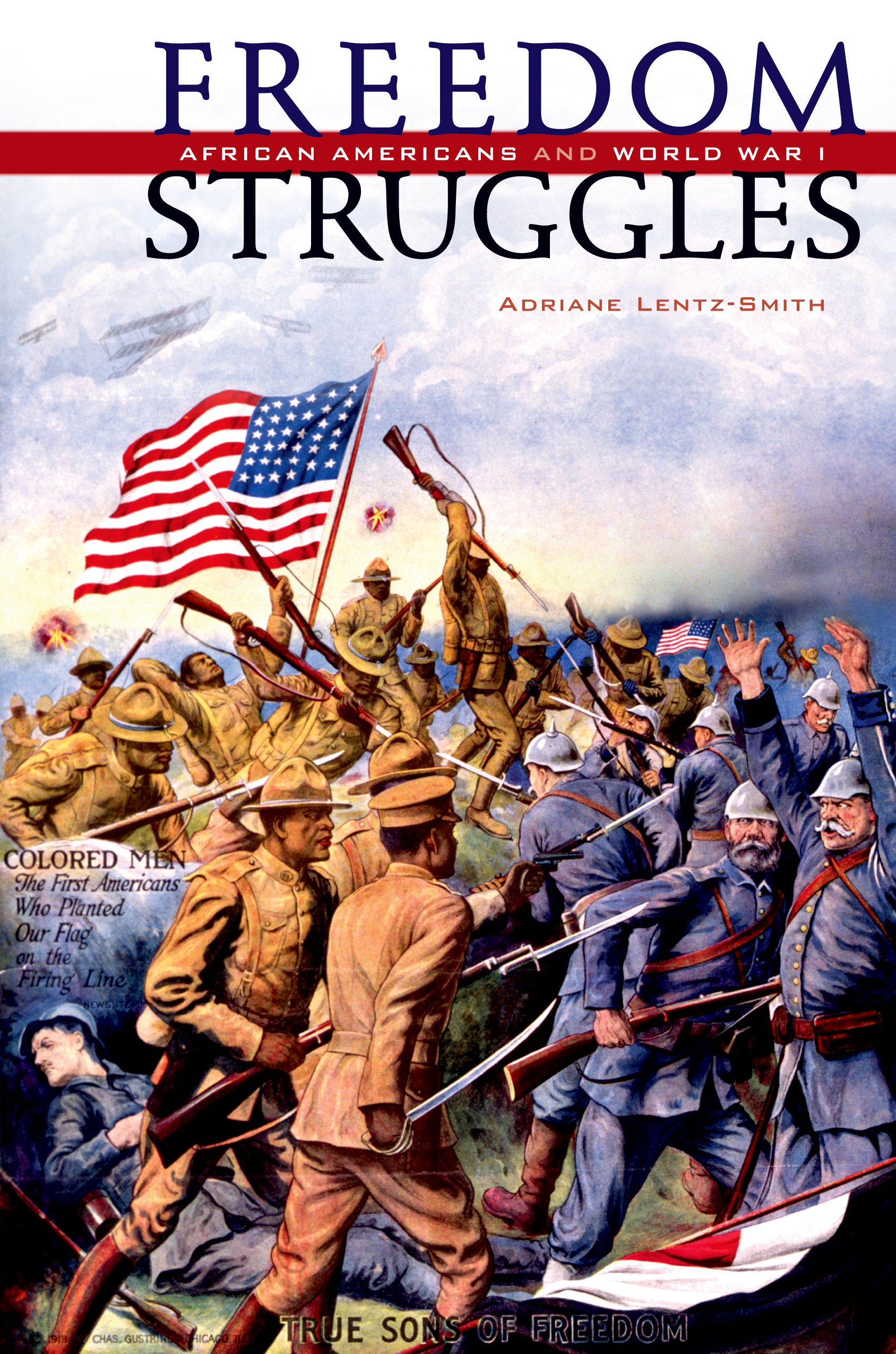 Freedom struggles : African Americans and World War I