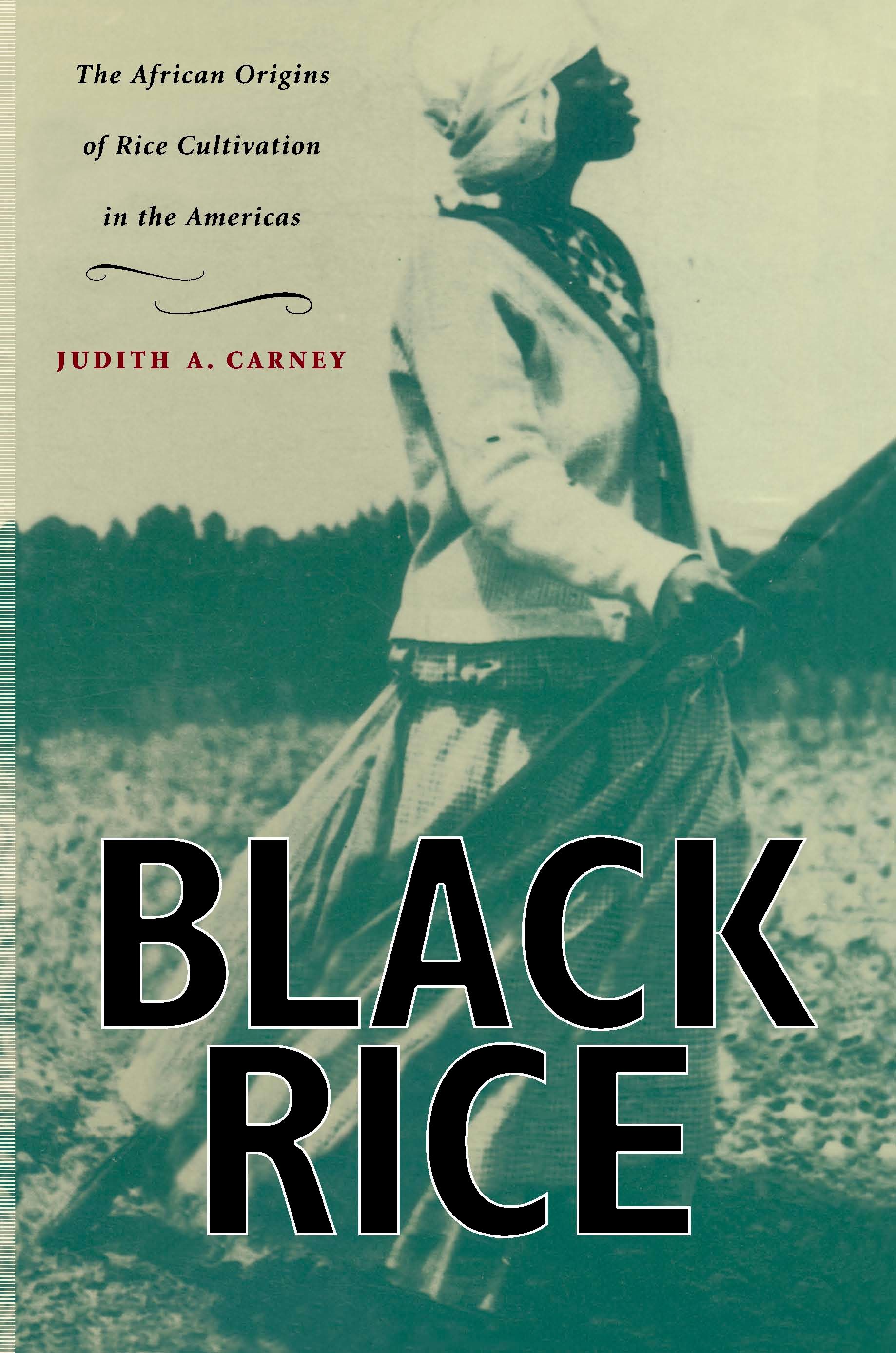 Black rice : the African origins of rice cultivation in the Americas