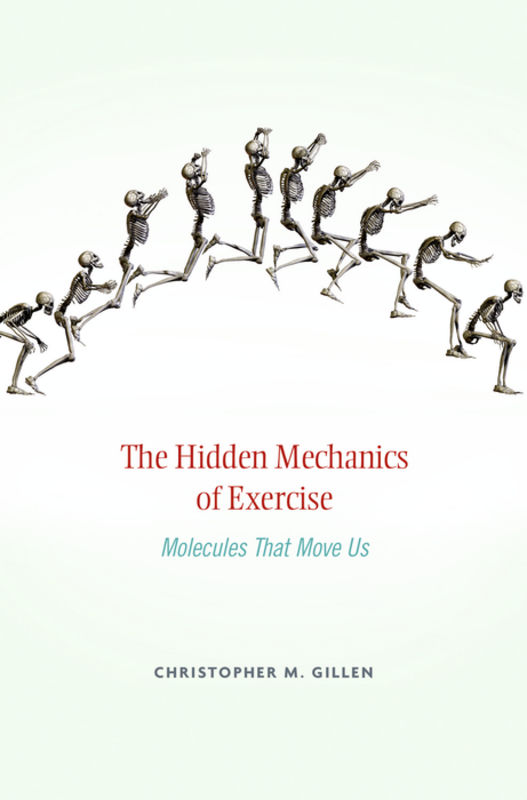 The hidden mechanics of exercise : molecules that move us