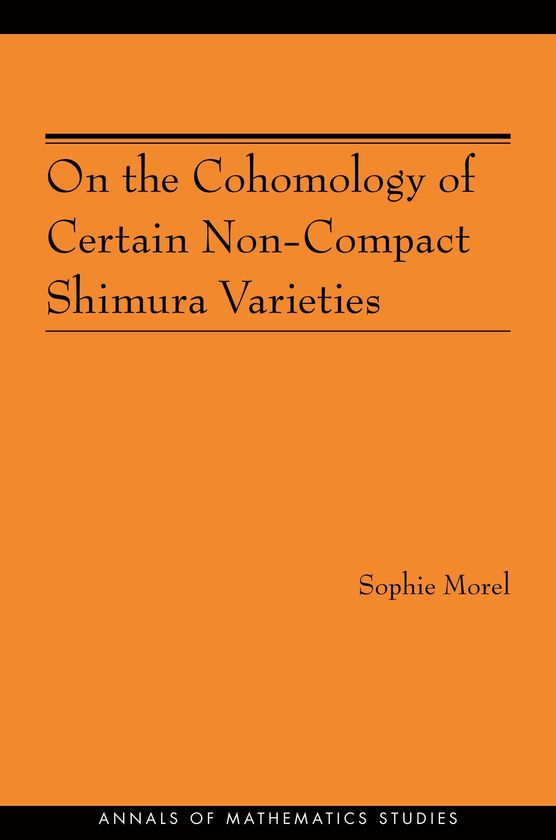 On the Cohomology of Certain Non-Compact Shimura Varieties (AM-173)