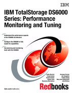 IBM TotalStorage DS6000 Series