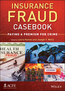 Insurance fraud casebook