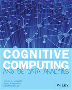 Cognitive computing and big data analytics