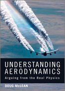 Understanding aerodynamics : arguing from the real physics