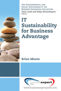 IT sustainability for business advantage